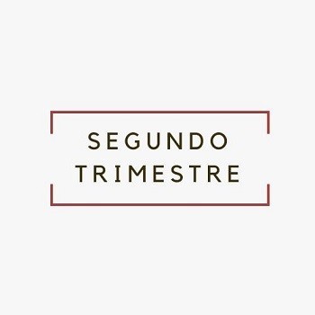 SEGUNDO TRIMESTRE