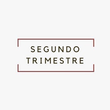 segundo trimestre